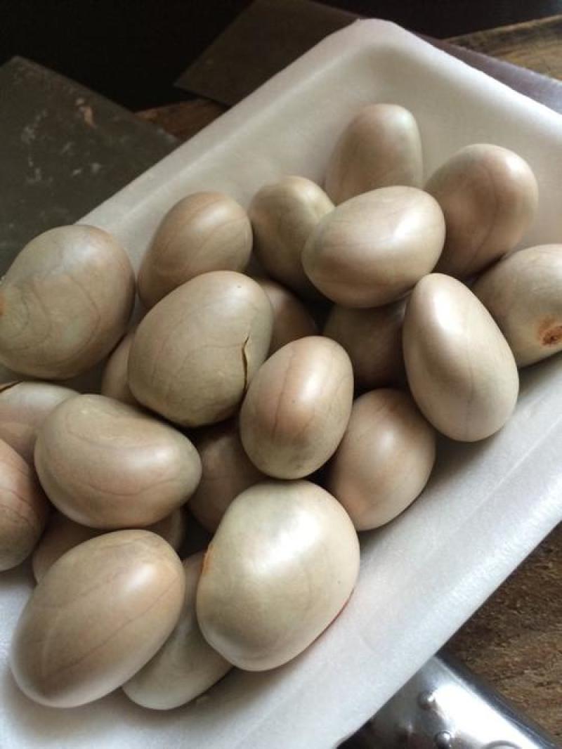 菠萝蜜核仁菠萝蜜籽仁核菠萝蜜果核仁籽新鲜大树菠萝蜜核籽仁