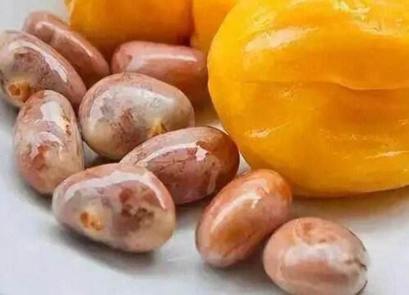 菠萝蜜核仁菠萝蜜籽仁核菠萝蜜果核仁籽新鲜大树菠萝蜜核籽仁