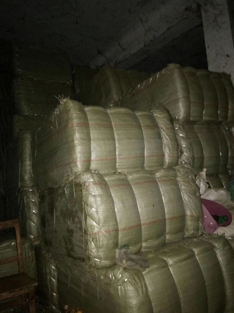 长期供应裸花紫珠