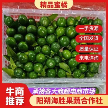 广西清香桔，大量供应，好货不断，有意来电咨询
