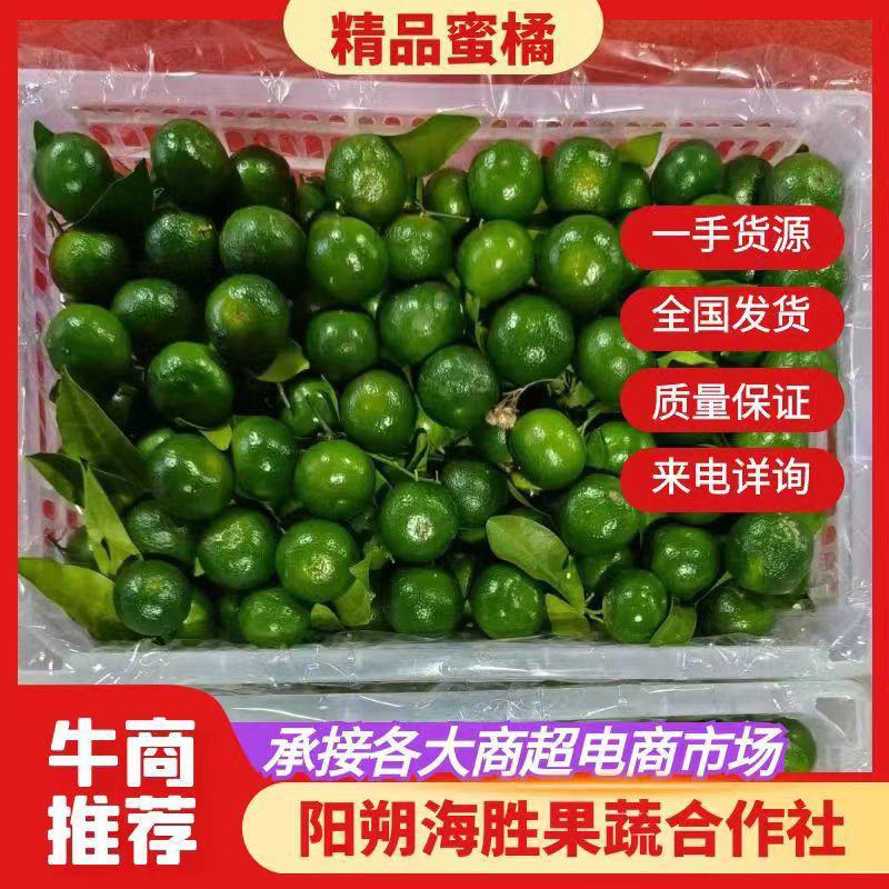 广西清香桔，大量供应，好货不断，有意来电咨询