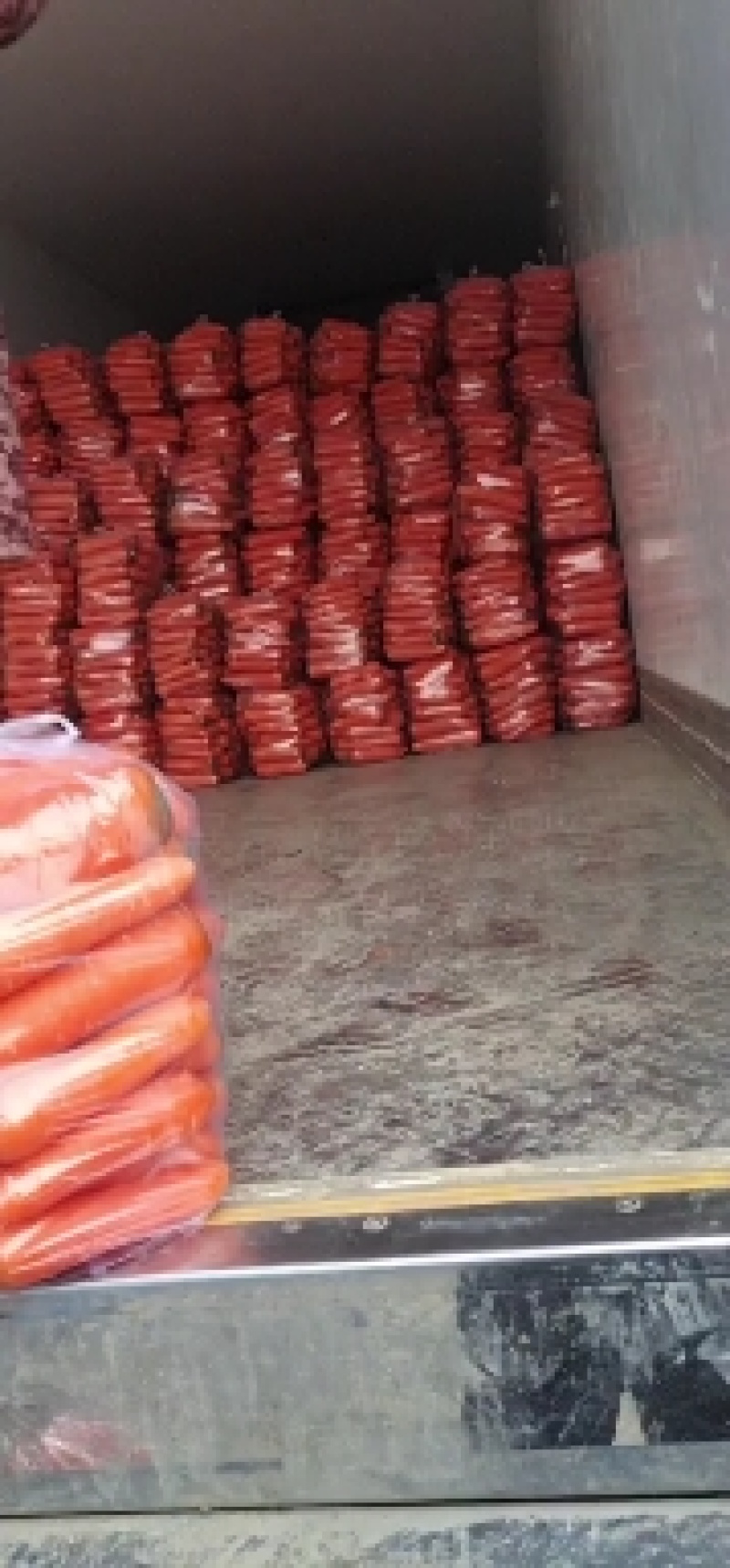 东台胡罗卜大量上市