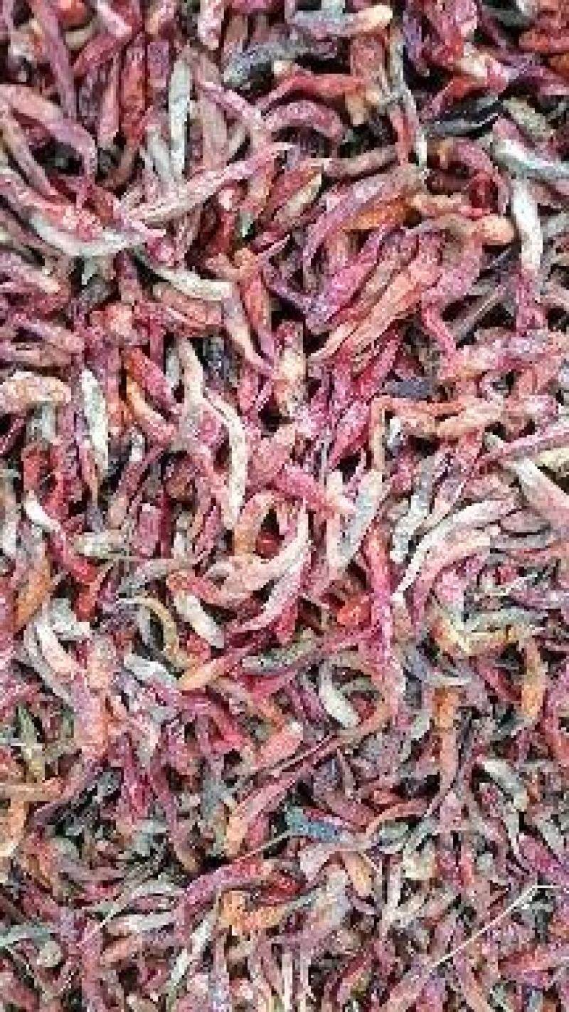 【精选】花皮干辣椒高辣干辣椒朝天椒打粉用产地直发欢迎来电