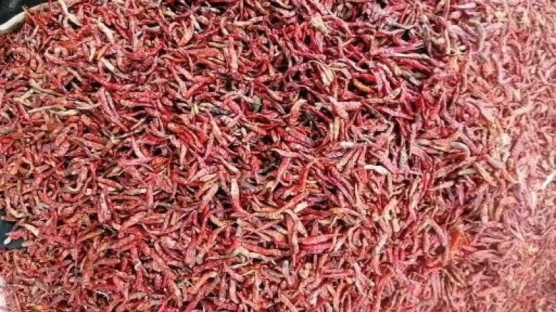 【精选】花皮干辣椒高辣干辣椒朝天椒打粉用产地直发欢迎来电