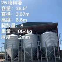 25顿存料塔