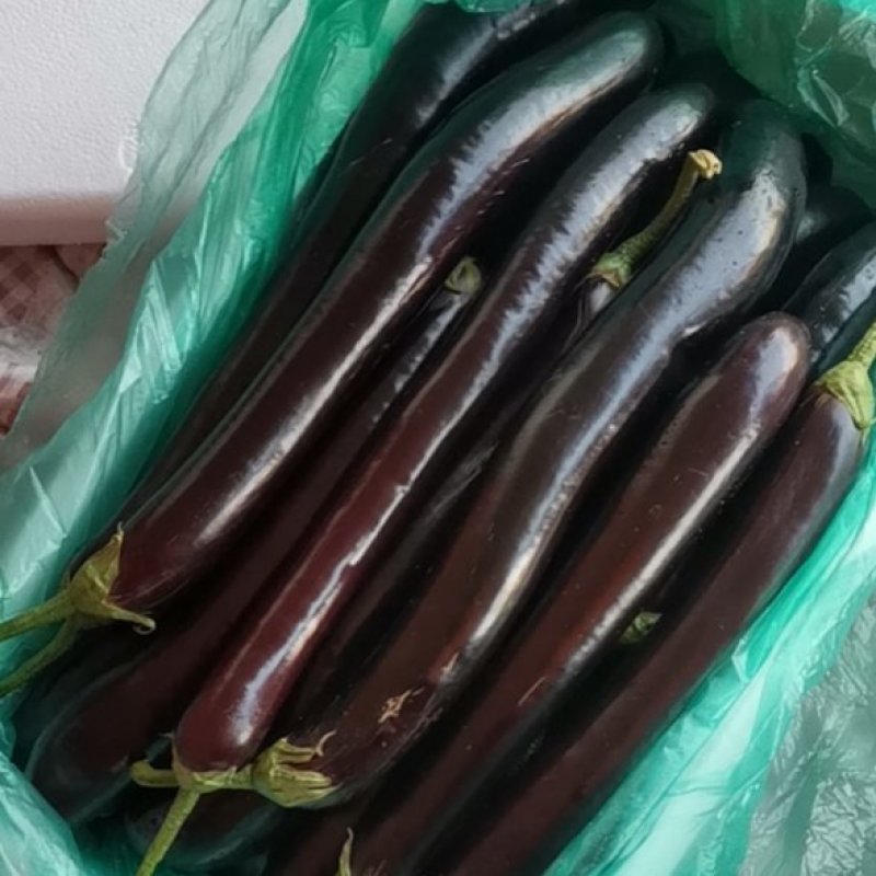 长茄