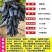 蓝宝石葡萄果树苗南北方种植抗寒现挖现发包成活包品种