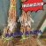 蓝宝石葡萄果树苗南北方种植抗寒现挖现发包成活包品种
