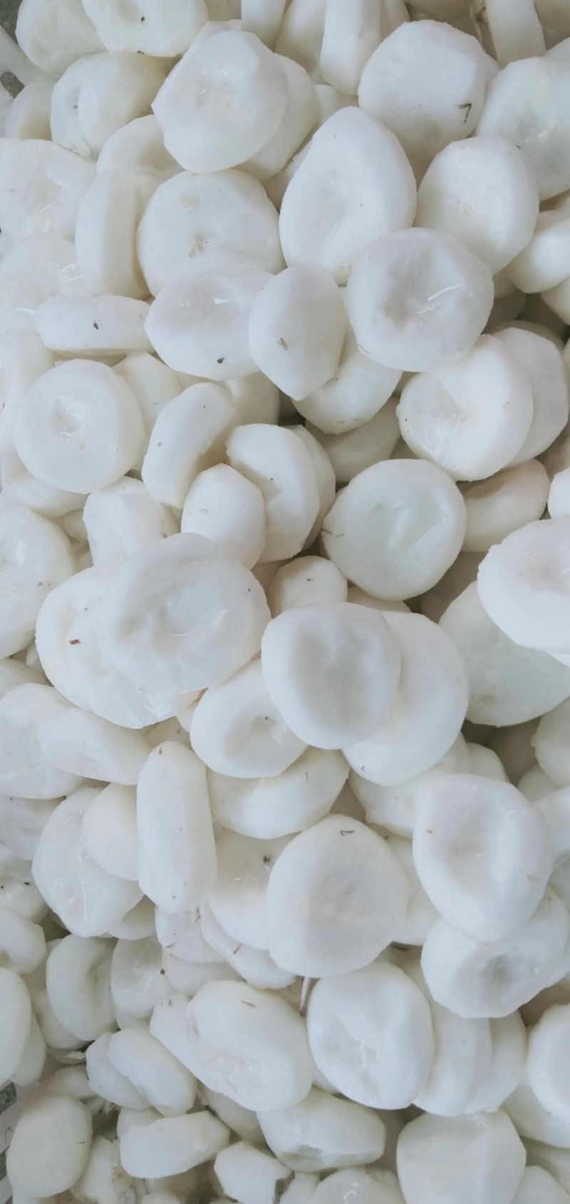 马蹄精品马蹄去皮马蹄
