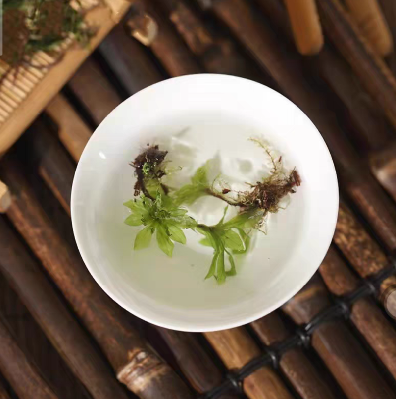 茴心草回心草茴薪草云南回心草无硫干货批发零售