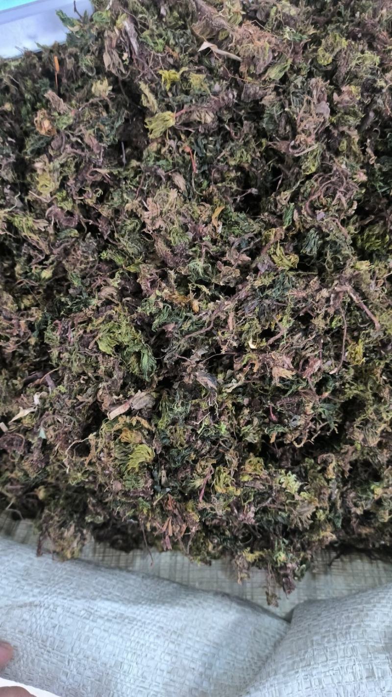 茴心草回心草茴薪草云南回心草无硫干货批发零售
