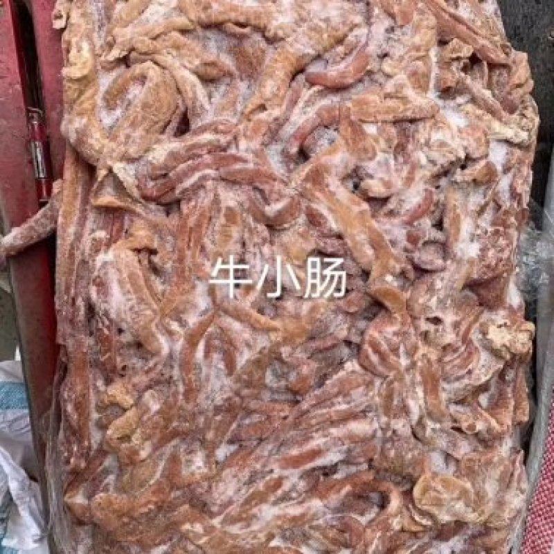 牛小肠，货量充足，一手货源，全国冷链发货