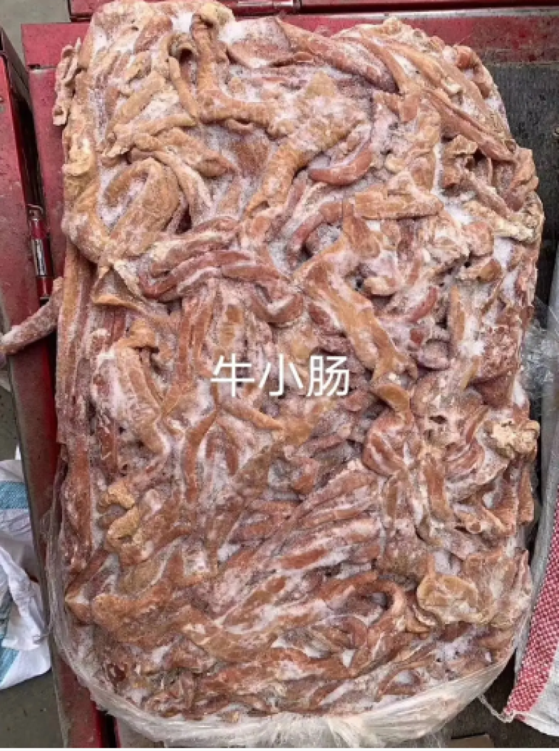 牛小肠，货量充足，一手货源，全国冷链发货