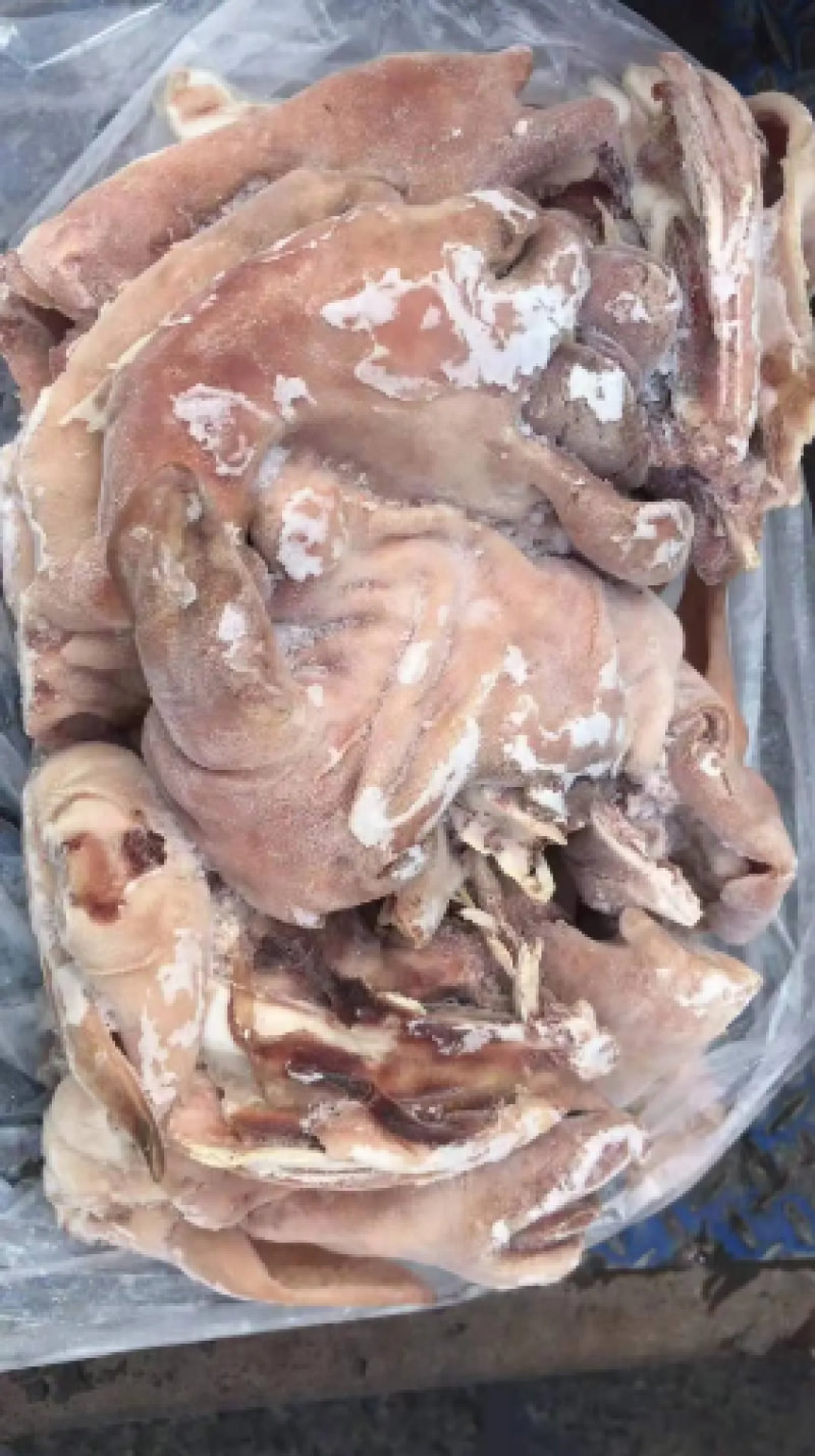 羊头，水退羊头，火烧羊头，一手货源全冷链供货
