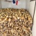 三五藕六号大量上市欢迎订购，也包括藕种大量订单
