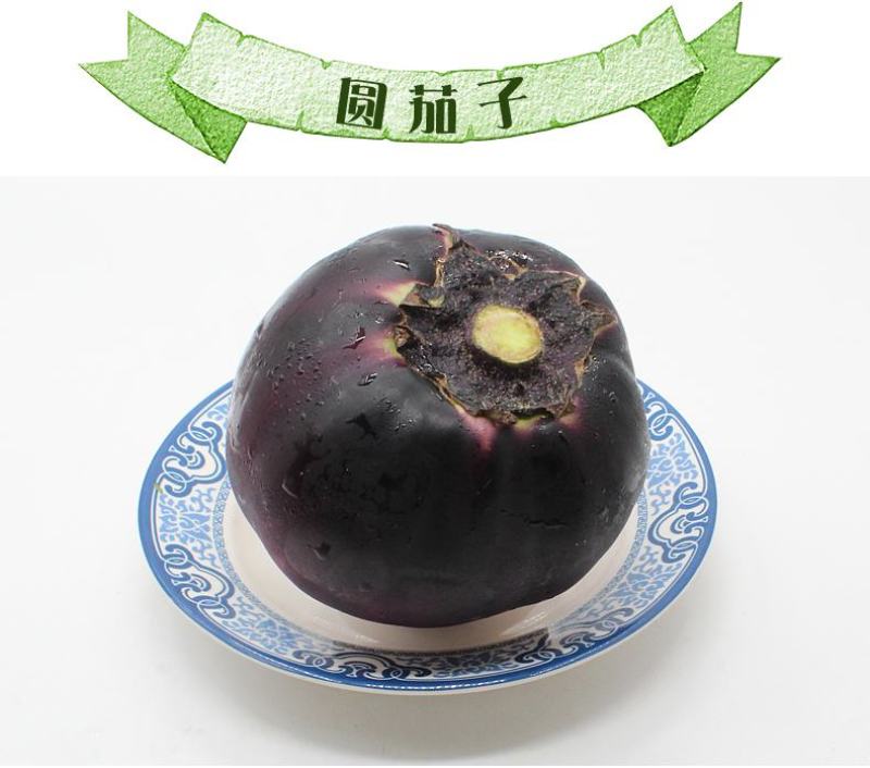 茄子/圆茄，亮度好不花皮，冷棚货源，货源充足一手货源