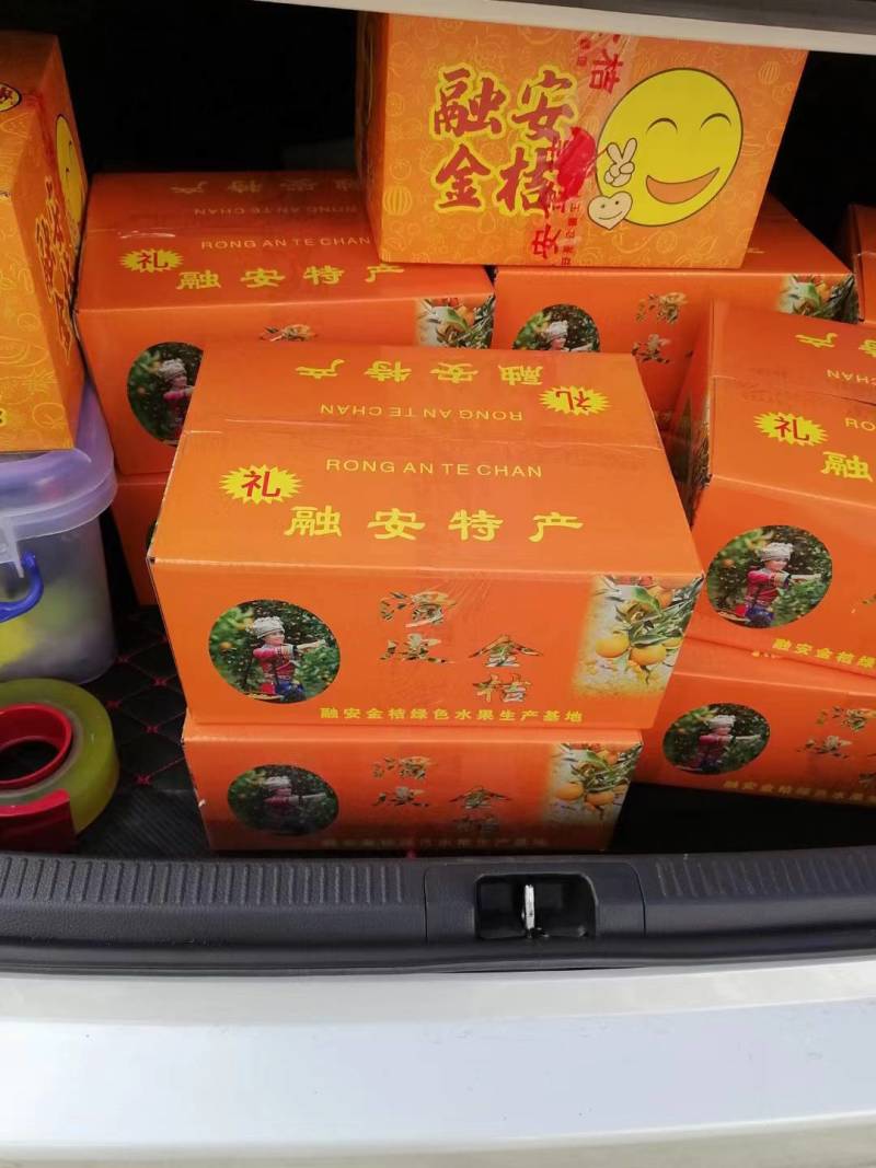 广西融安金桔