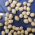 四川扁豆园形个8个粒筛子色选质量很好需要联系