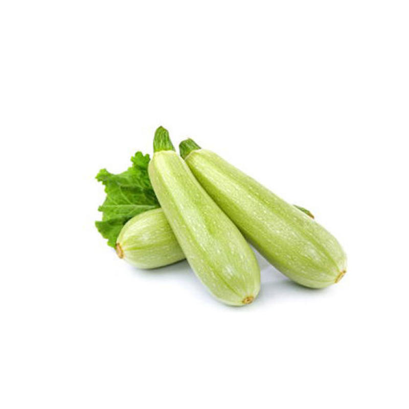 葫芦绿皮西葫芦大量上市色亮条直诚信供应欢迎采购