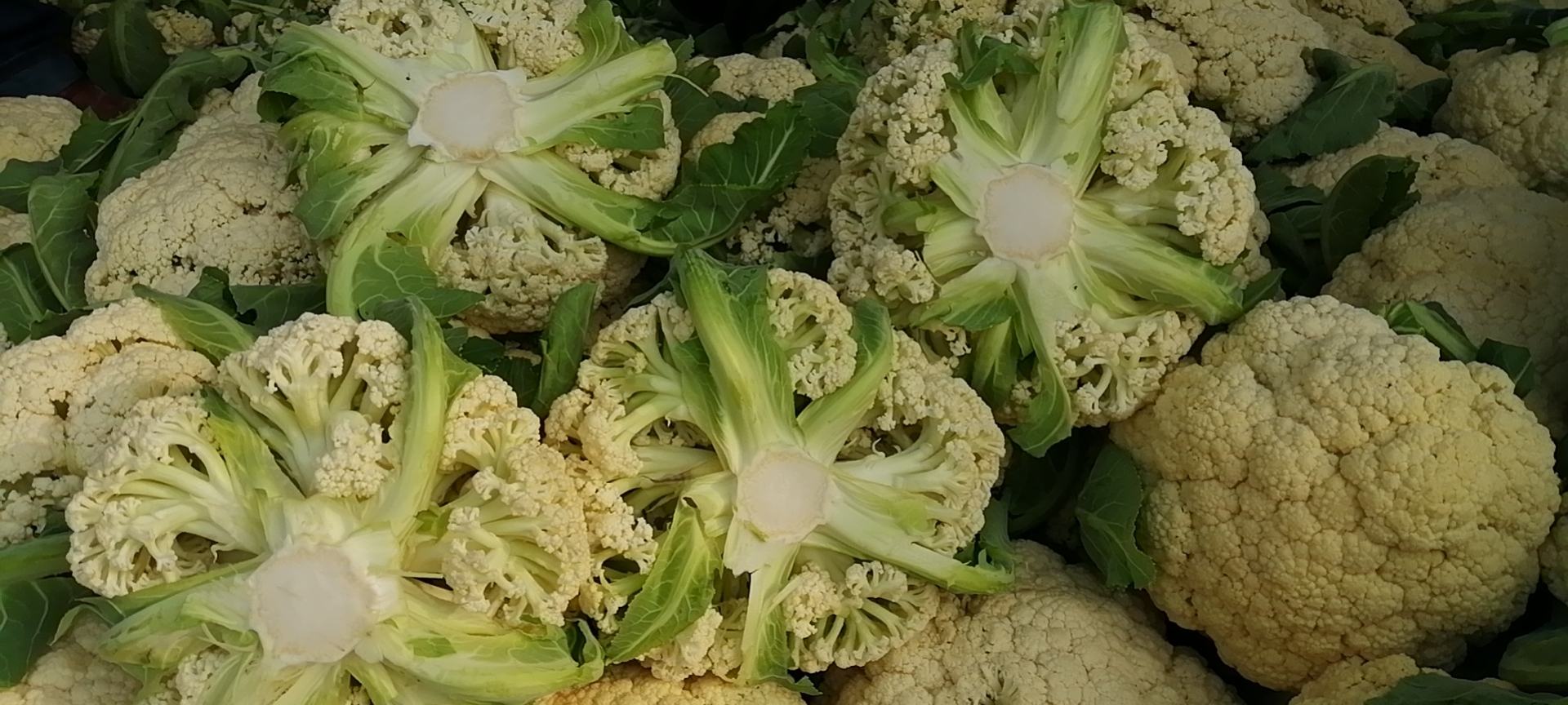 松花菜清洗过程图