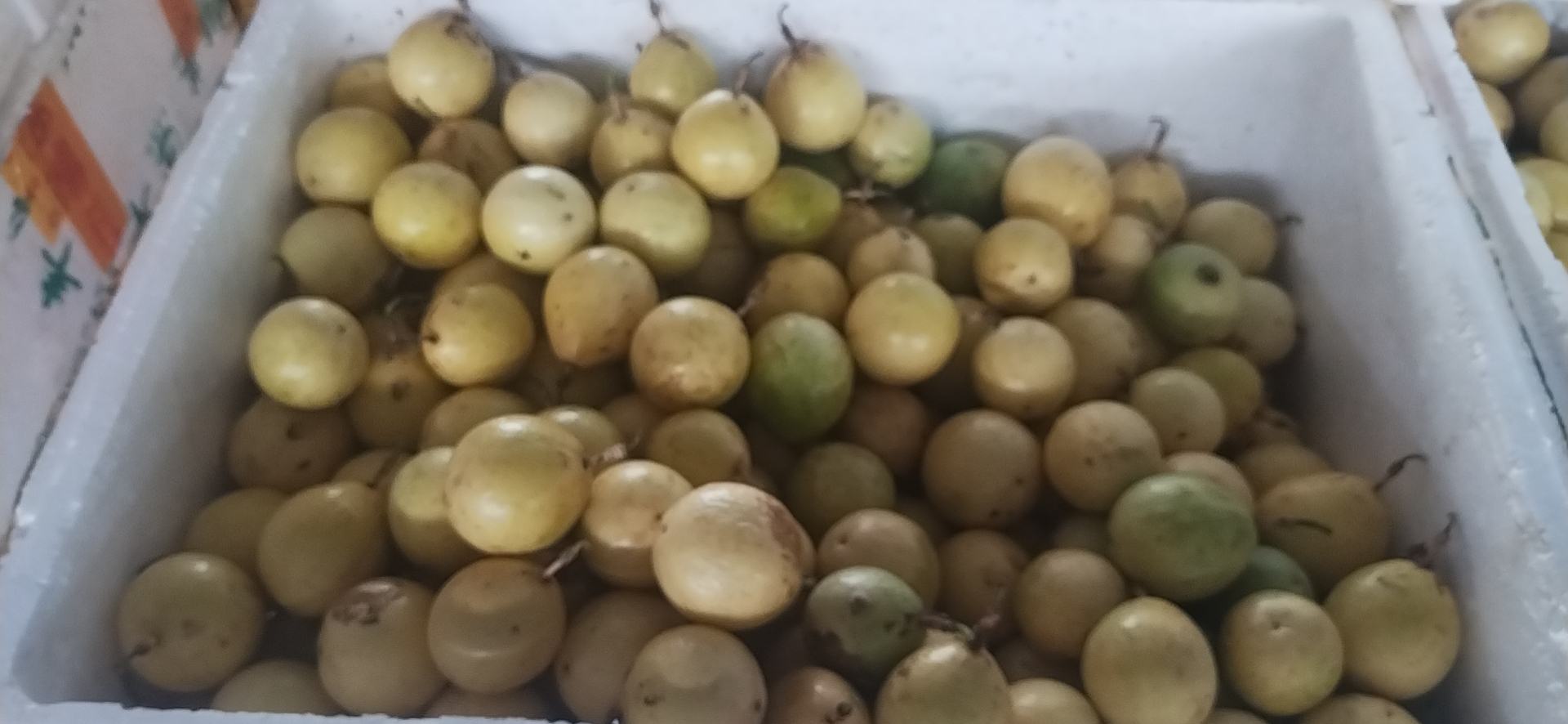 新鲜黄金百香果特写