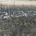 牛蛙产地大量活体牛蛙肉多多水产田鸡现货现捞现发活物