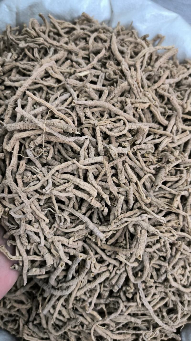 远志无硫远志抽芯远志肉规格齐全批发零售