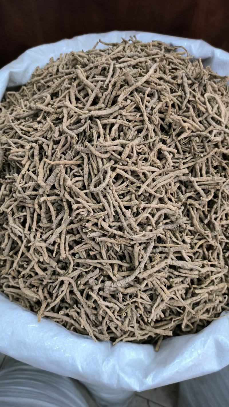 远志无硫远志抽芯远志肉规格齐全批发零售