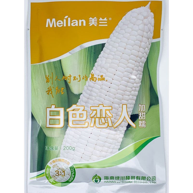 美兰白色恋人白甜糯玉米种子耐高温甜加糯玉米种原装发货