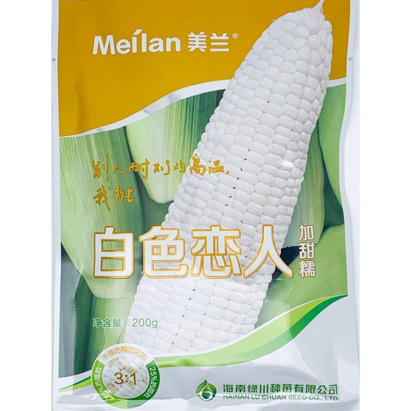 美兰白色恋人白甜糯玉米种子耐高温甜加糯玉米种原装发货