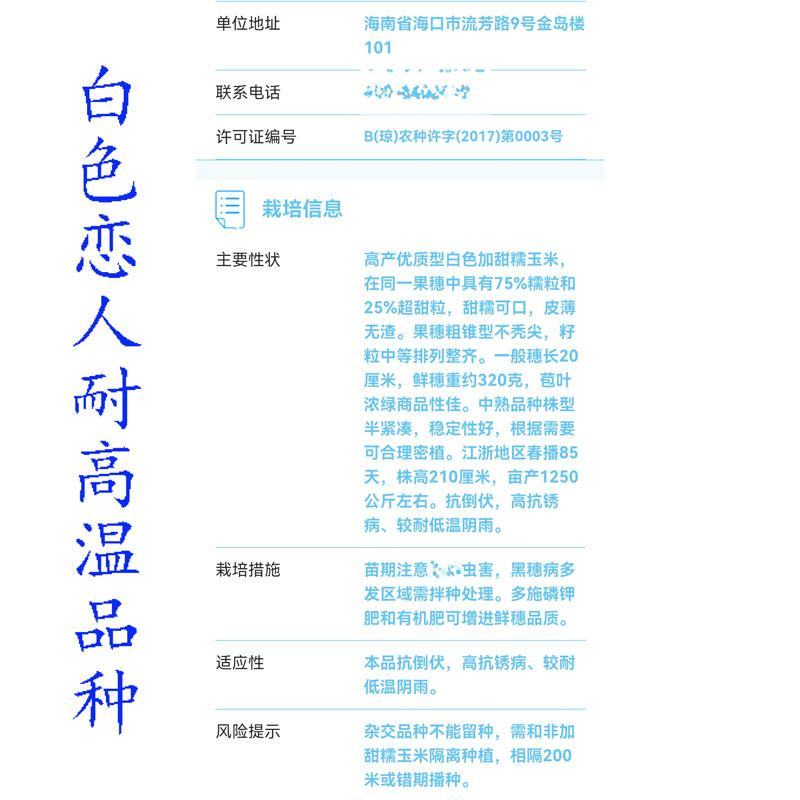 美兰白色恋人白甜糯玉米种子耐高温甜加糯玉米种原装发货