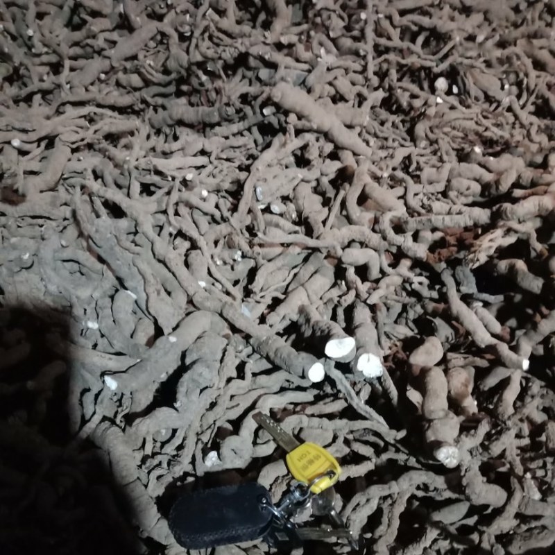 粉防己，干统货