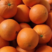 【大量上市】纽荷尔脐橙，湖北脐橙产地发货，质量保证