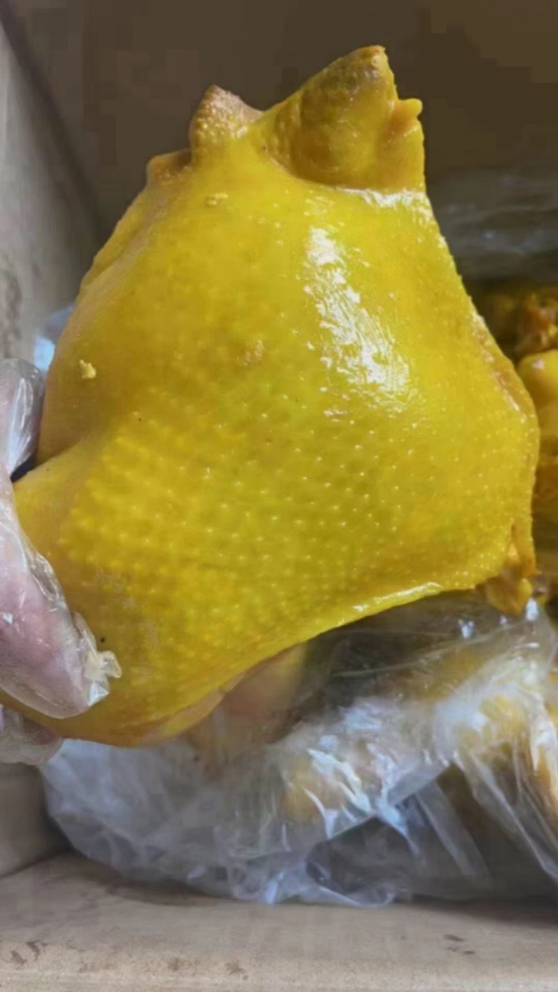 [热卖]盐焗鸡腿，盐焗鸡现货供应，一件50斤火爆热销