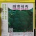 青花菜种子耐寒炎秀西蓝花种子抗性好产量高品质好