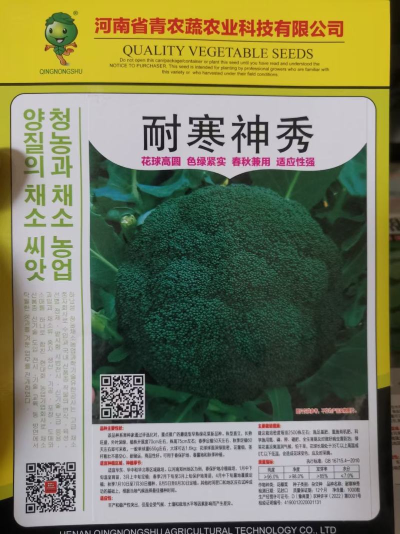 青花菜种子耐寒炎秀西蓝花种子抗性好产量高品质好