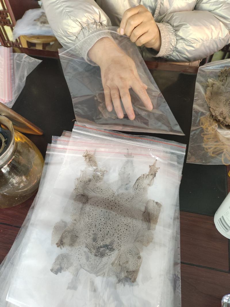精品蟾衣欢迎采购量大从优