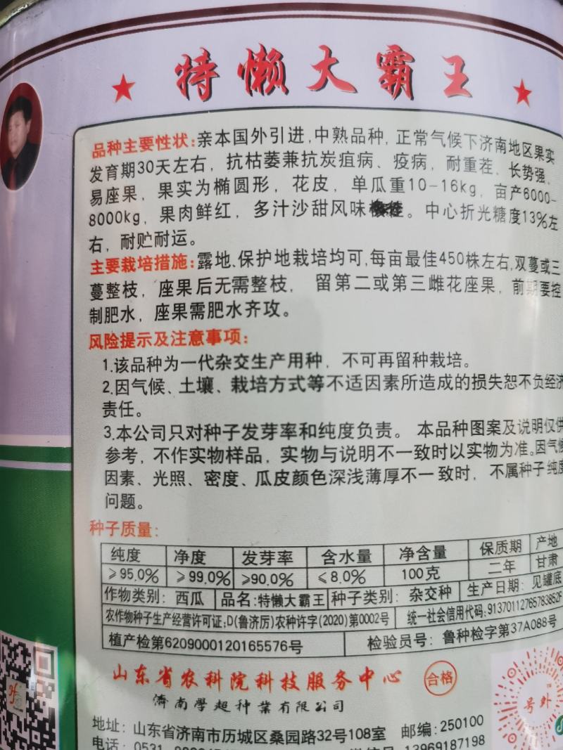 特懒大霸王西瓜种子省工省时抗性好耐重茬沙甜抗裂