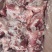 多肉骨块，11500一吨临沂提货10kg