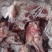 多肉骨块，11500一吨临沂提货10kg
