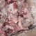多肉骨块，11500一吨临沂提货10kg