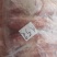 五号肉1吨半特价21000一吨。速发