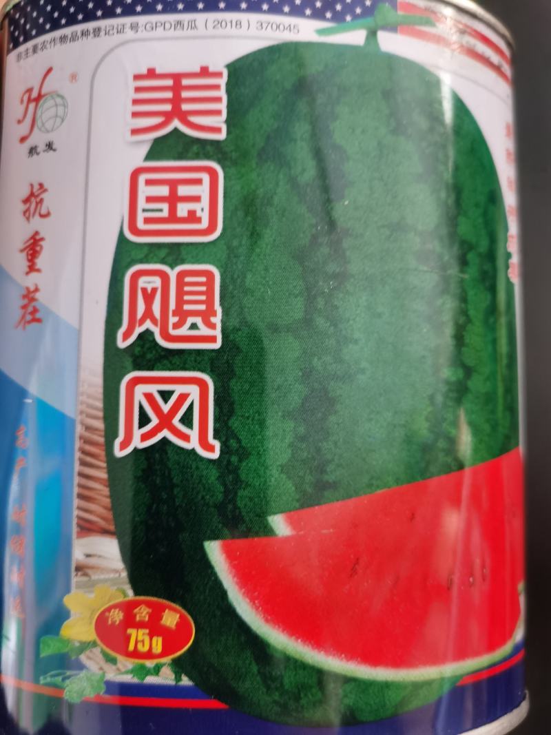 美国飓风西瓜种子抗病抗重茬丰产耐运输