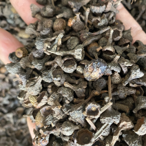 桂皮桂中诚信经营价格美丽全国发货规格齐全
