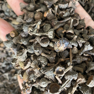 桂皮桂中诚信经营价格美丽全国发货规格齐全