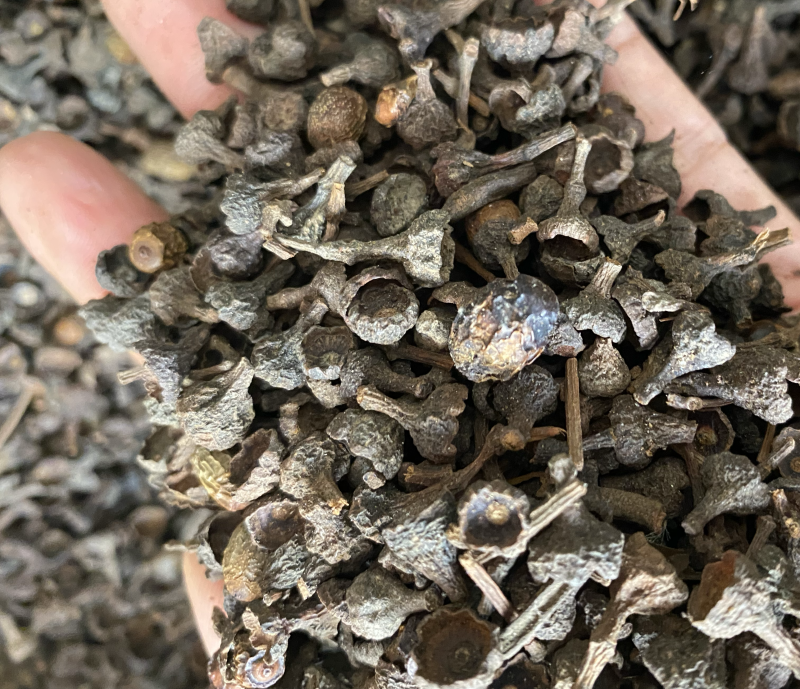 桂皮桂中诚信经营价格美丽全国发货规格齐全
