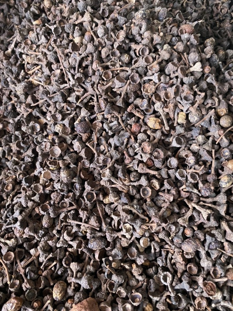 桂皮桂中诚信经营价格美丽全国发货规格齐全