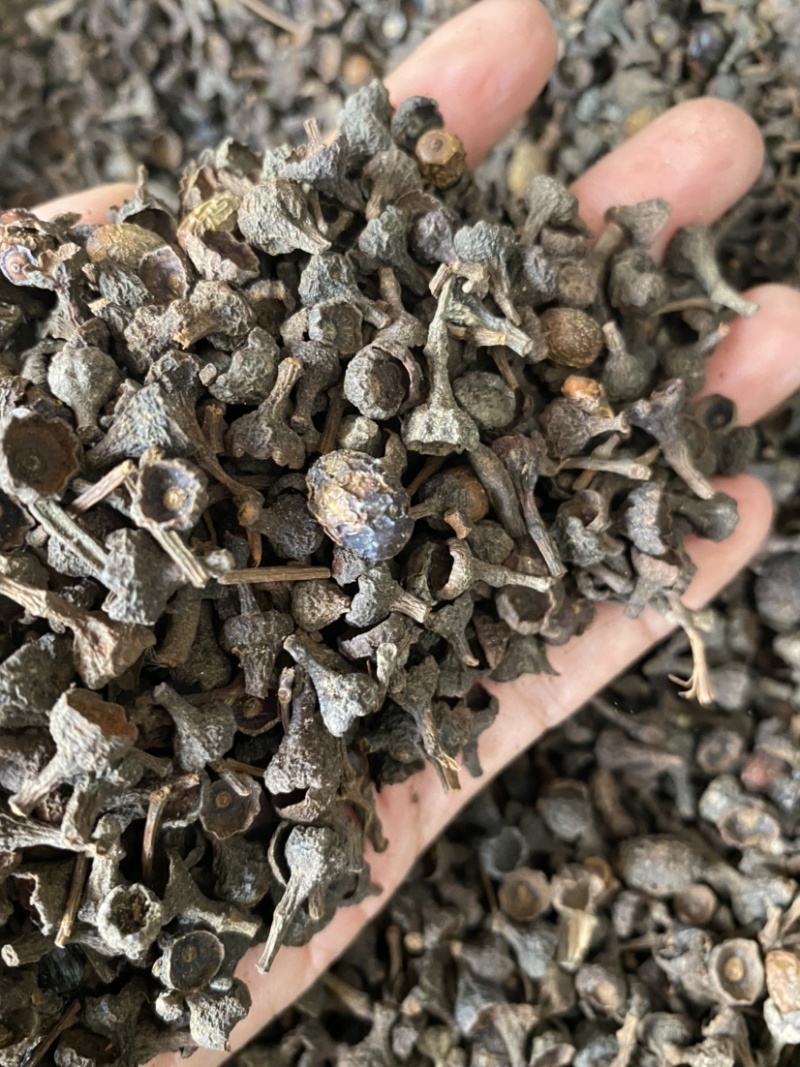桂皮桂中诚信经营价格美丽全国发货规格齐全