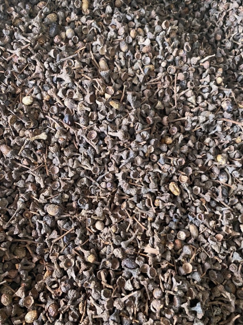 桂皮桂中诚信经营价格美丽全国发货规格齐全
