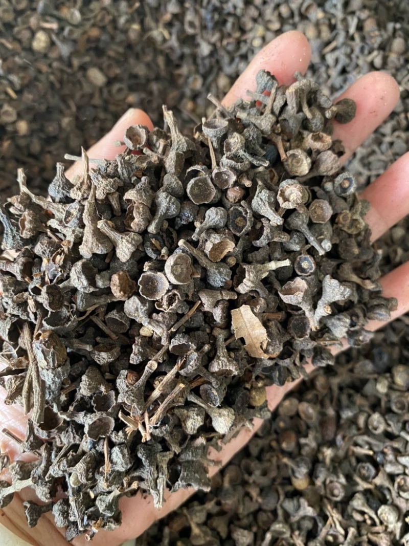 桂皮桂中诚信经营价格美丽全国发货规格齐全